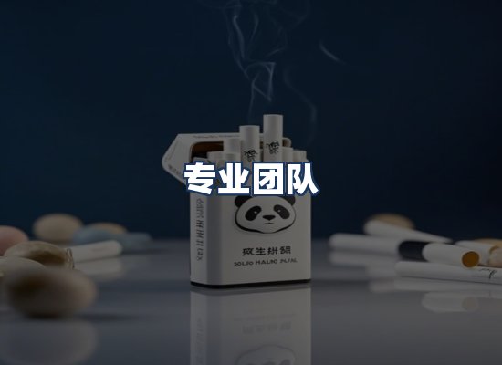 专业团队